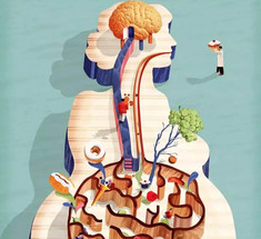 Второй мозг: СЕКРЕТЫ пищевых инстинктов