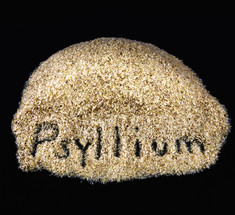 Псиллиум: 9 полезных свойств шелухи семян подорожника