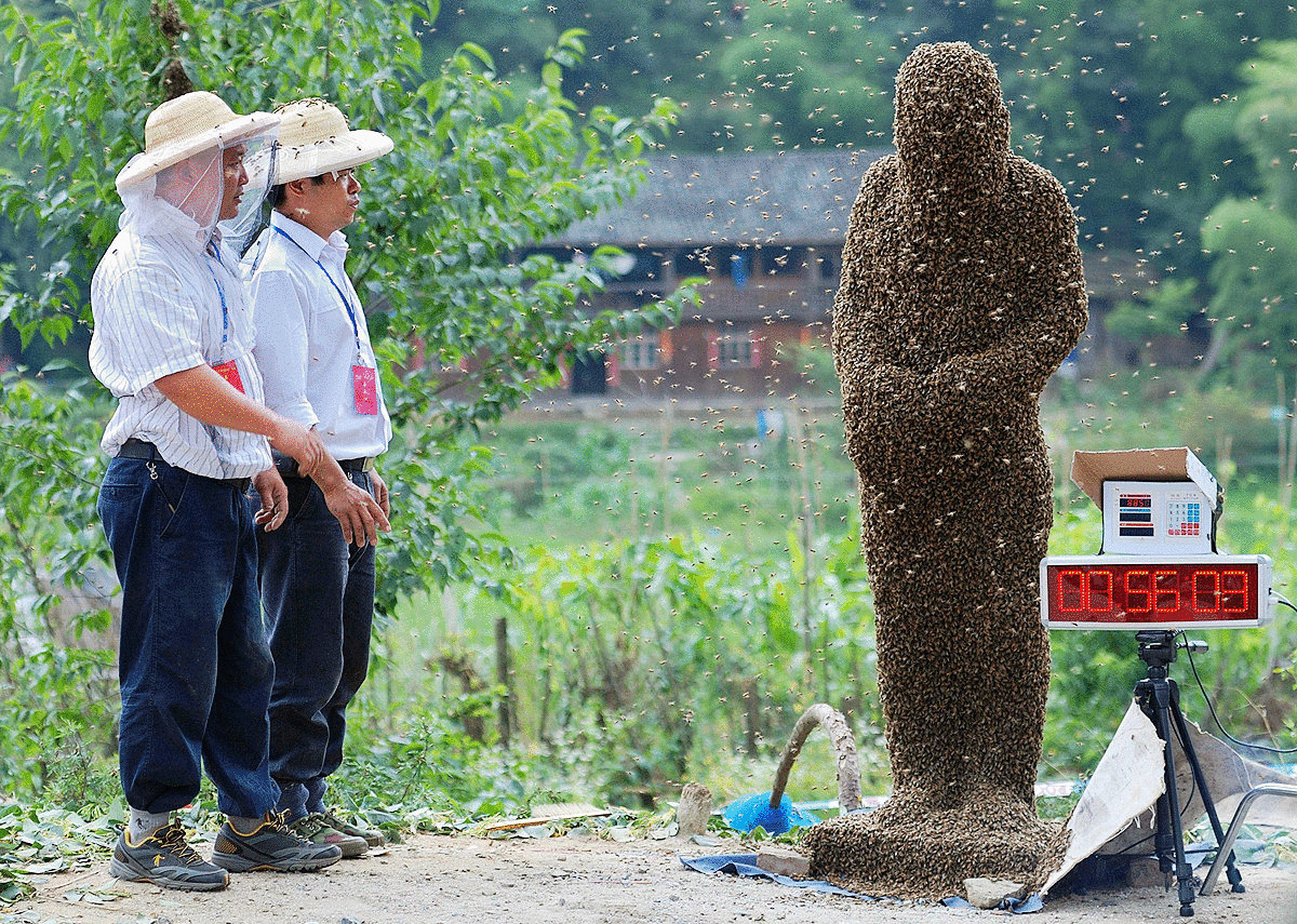 Соревнование по одеванию пчёл на человека покорило мир