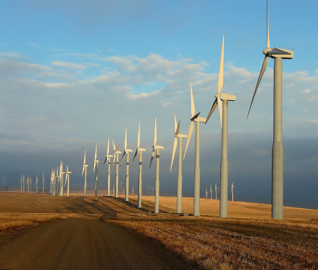 Ветровые электростанции в теперь и в Украине