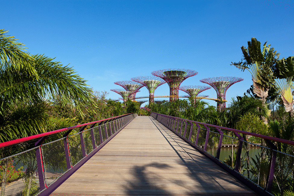 Сады у залива — лучший парковый комплекс в Сингапуре