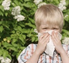 Альтернативный способ борьбы с аллергией