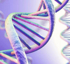 Китайские генетики изменили человеческий геном