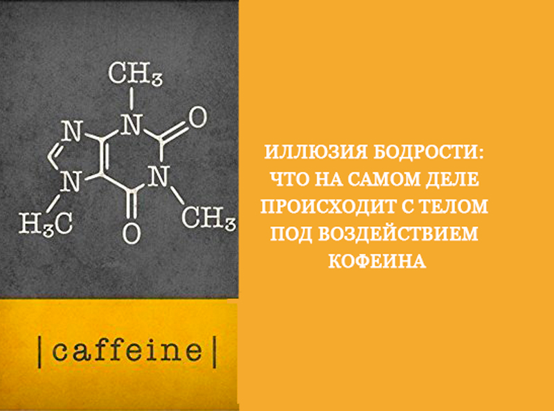 Исследование кофеина. Влияние кофеина на организм. Кофеин воздействие на организм. Кофеин действие на организм. Влияние кофеина на организм картинки.