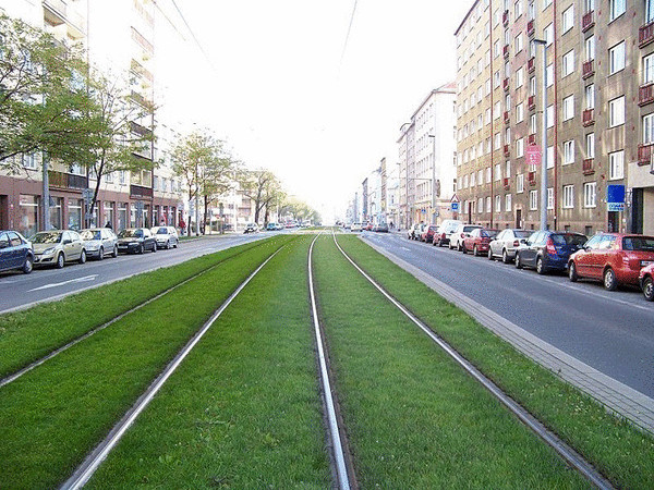 Европа — газоны на трамвайных путях 