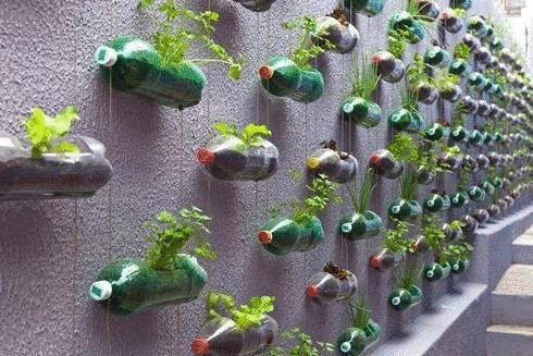 20+ оригинальных вариантов  использования пластиковых бутылок на даче