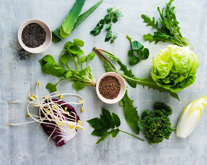 Салат-латук — удивительно полезные свойства