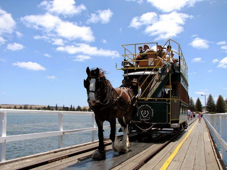 Австралия. Трамвай на конной тяге