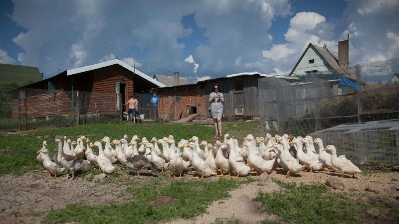 Фермеры на родине д‘Артаньяна