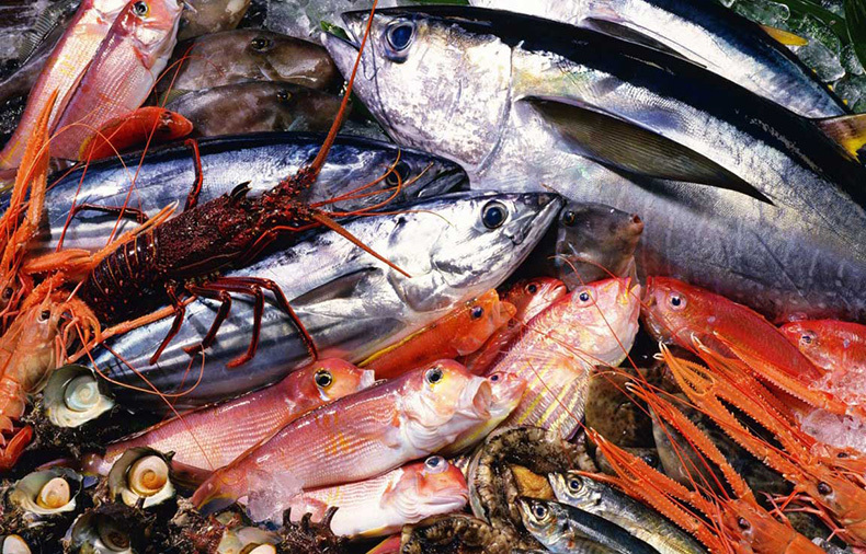 Морепродукты: большая ложь о большой пользе