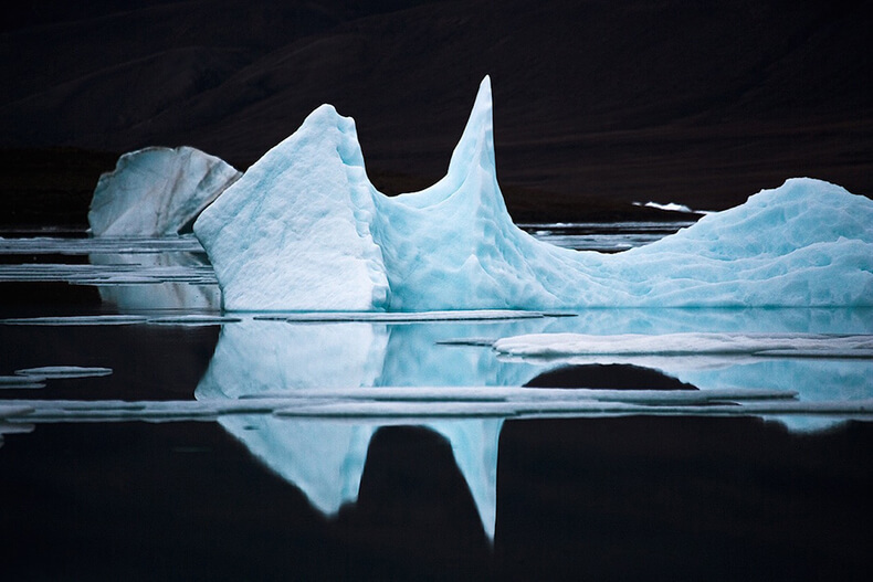 Арктика: исчезающий Север