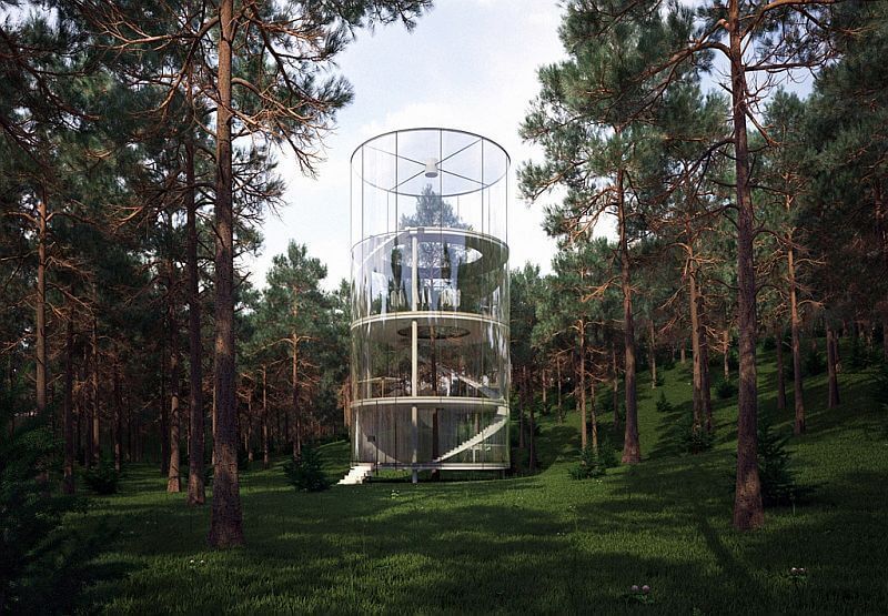 Удивительный прозрачный дом-цилиндр с живым деревом внутри 