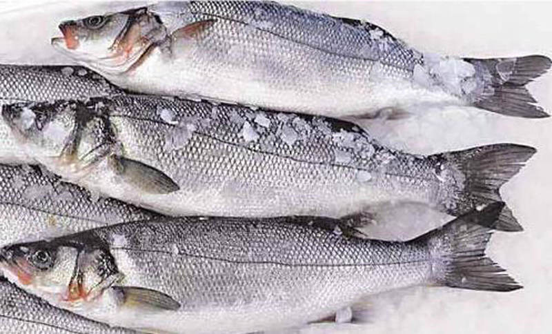 КАКУЮ рыбу продают в России — узнайте, ЧТО мы едим!
