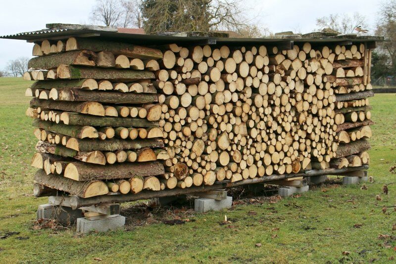 как правильно хранить дрова