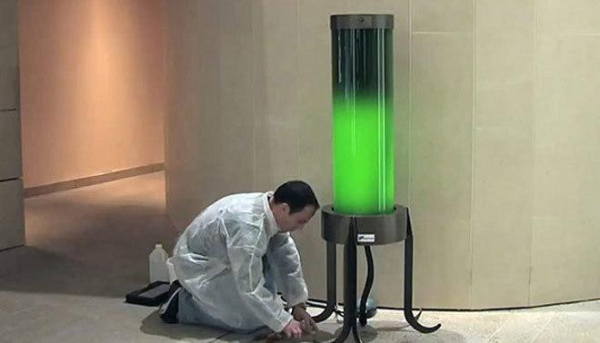 "Живая" лампа Microalgae Lamp поглощает CO2 из воздуха