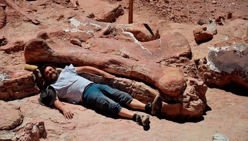 Останки огромного титанозавра были найдены в Аргентине