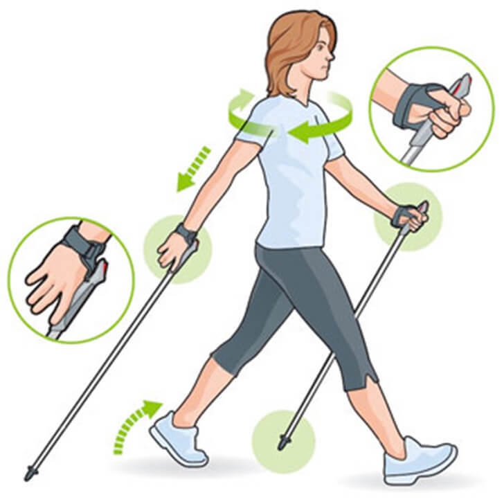 Правильная техника скандинавской ходьбы задействует до 90% мышц тела! 