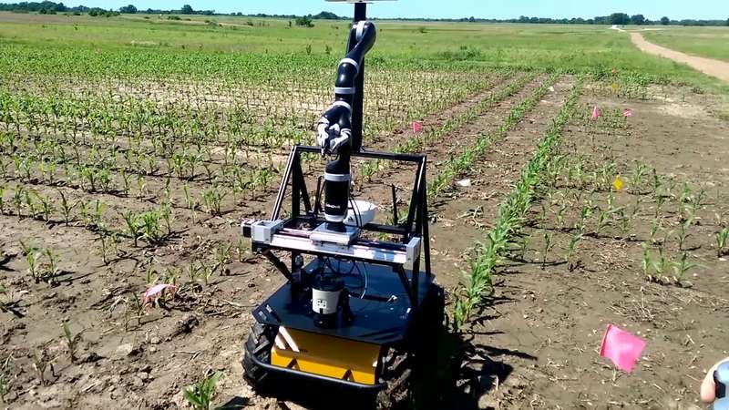 Vinobot — полевой робот-агроном