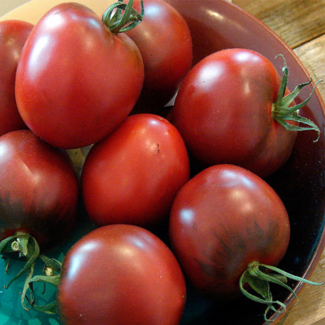 Как получить ранний урожай помидоров