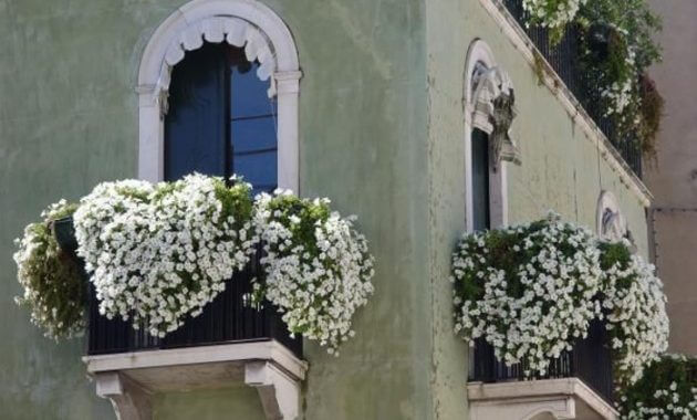 Сад в доме: Озеленение балкона, лоджии, террасы
