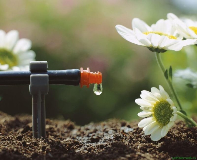 Полив сада и огорода своими руками: способы и виды систем полива