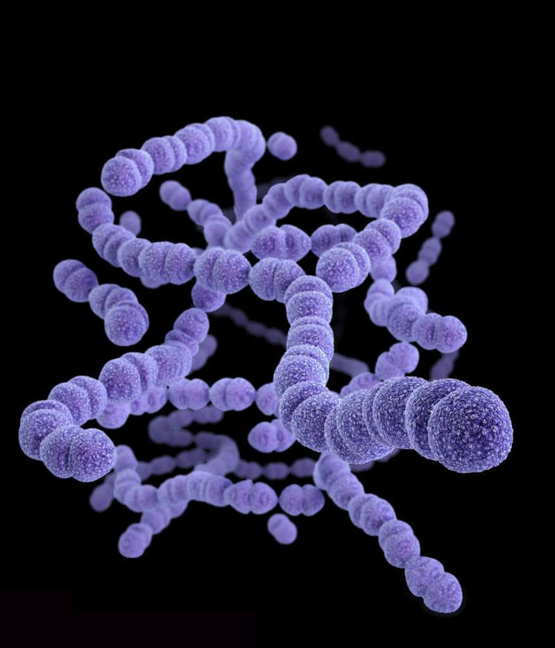 Ольга Бутакова: ВАЖНО! Бактерии, с которыми мы встречаемся каждый день