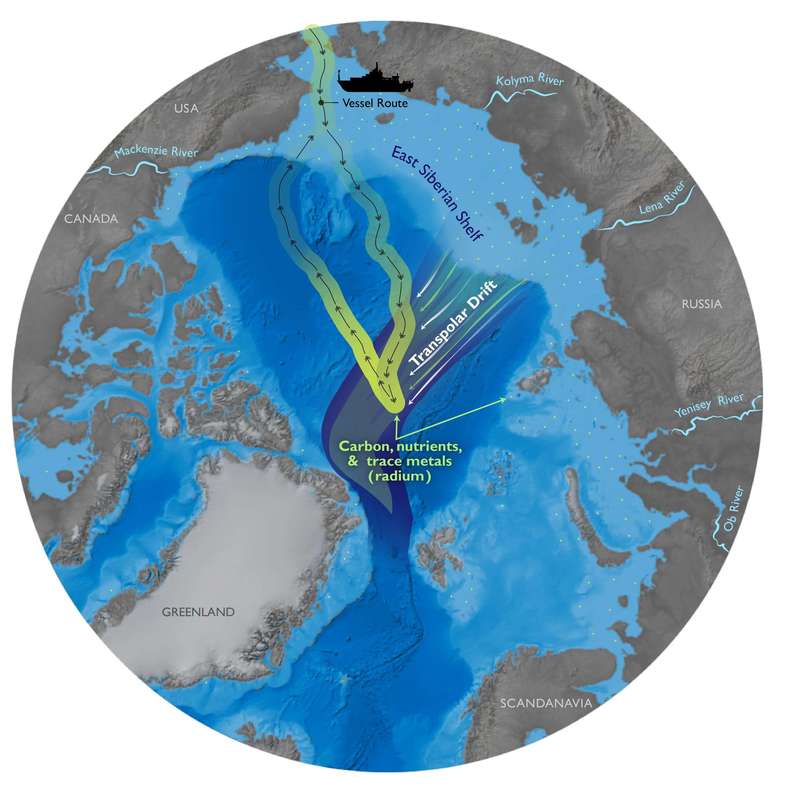 Ученые находят удивительные свидетельства быстрых изменений в Арктике