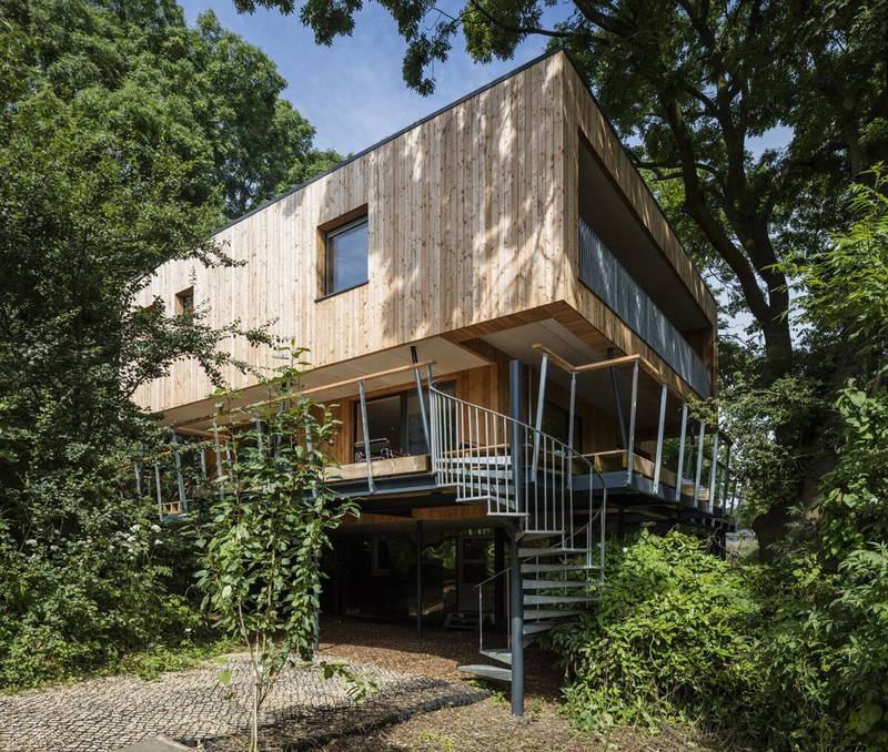 Энергоэффективный дом среди деревьев: конструктив и архитектура