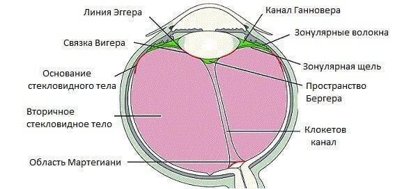 Как лечить битые пиксели в глазах