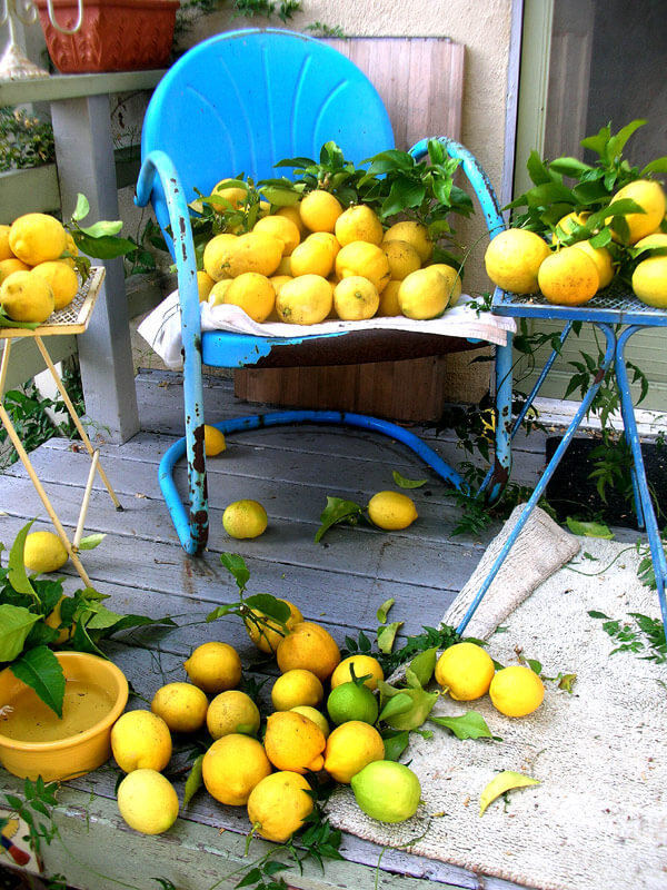 Как правильно выбирать лимоны