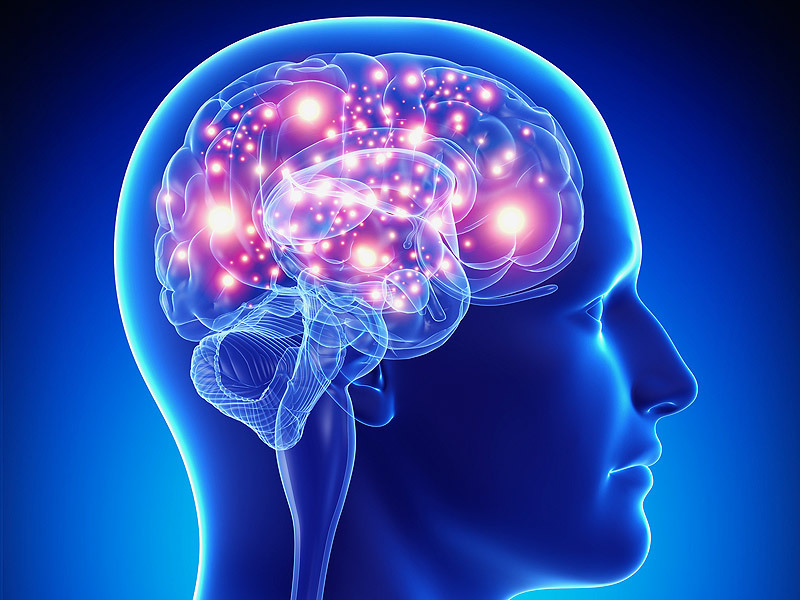 Теория нейропластичности мозга