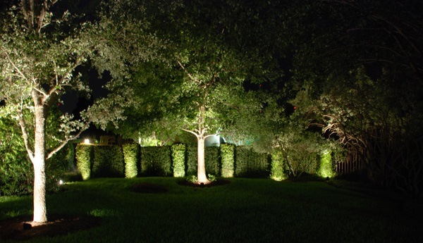 Подсветка и освещение деревьев