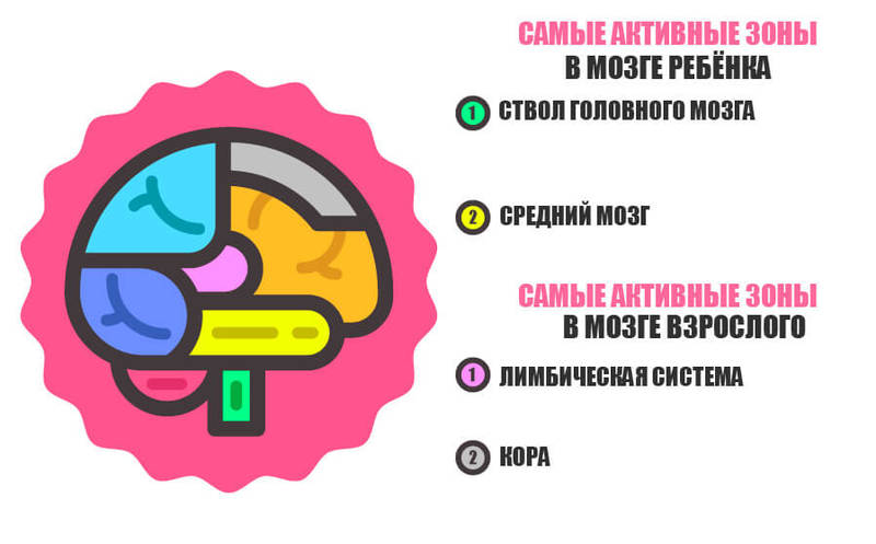 ЧЕМ ОТЛИЧАЕТСЯ МОЗГ РЕБЕНКА ОТ ВЗРОСЛОГО