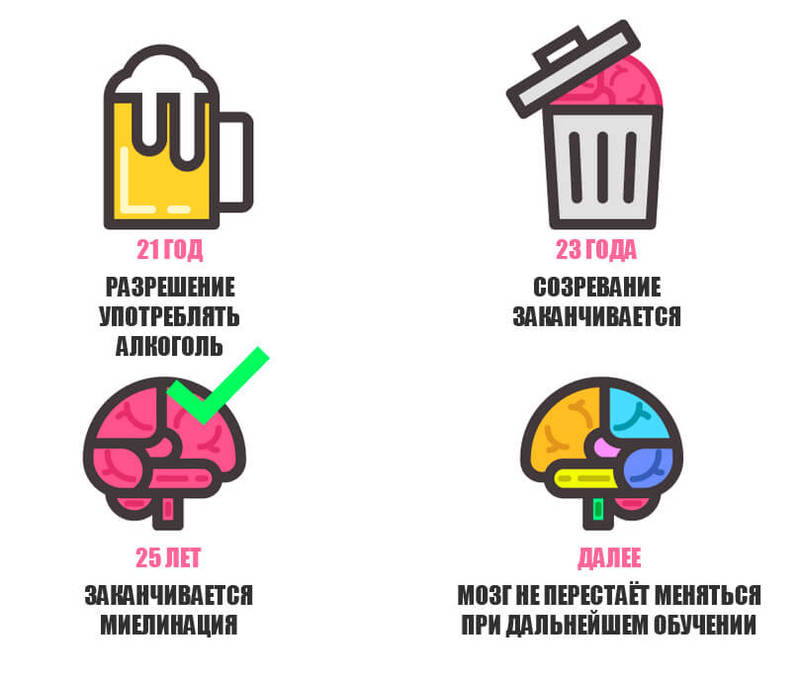 ЧЕМ ОТЛИЧАЕТСЯ МОЗГ РЕБЕНКА ОТ ВЗРОСЛОГО