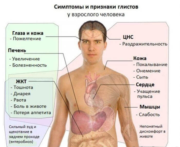 Папилломы как признак наличия паразитов