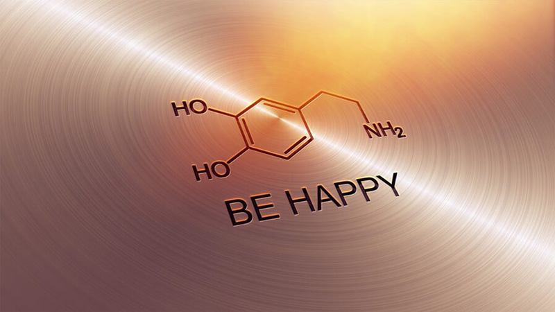 ДОФАМИН: Вот, что делает «гормон счастья» на самом деле