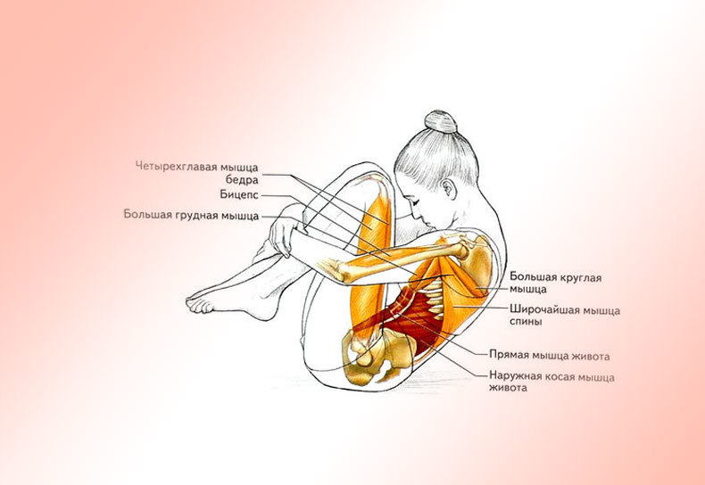 5 упражнений при пояснично-кресцовом остеохондрозе