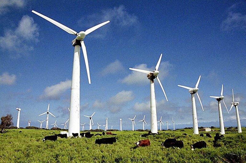 Владельцы ветряков смогут продавать излишки электричества