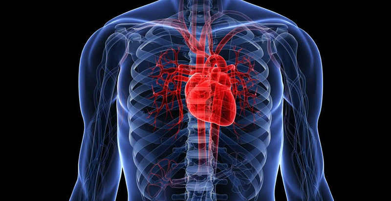 Больное сердце: 8 скрытых признаков