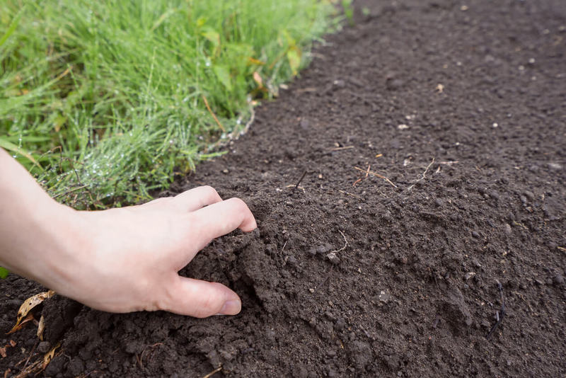 А вы знаете, какая почва на вашем участке? Определяем состав грунта самостоятельно