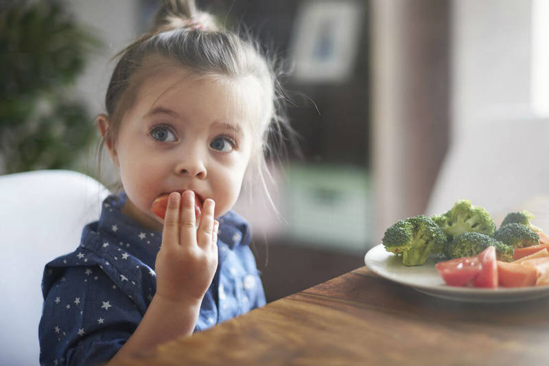 Безглютеновая безказеиновая диета в лечении раннего детского аутизма