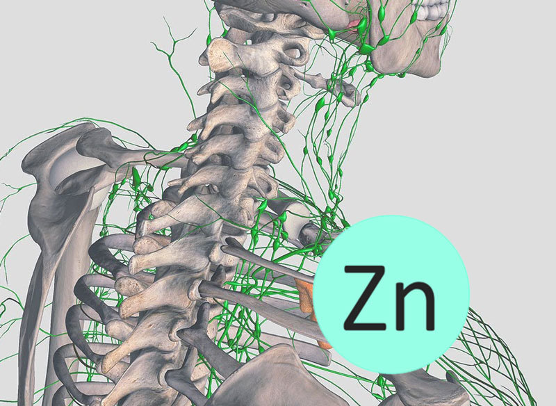 ЦИНК: ключевой минерал для вашей иммунной системы