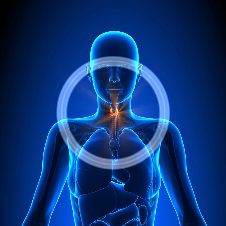 19 признаков проблем с щитовидкой