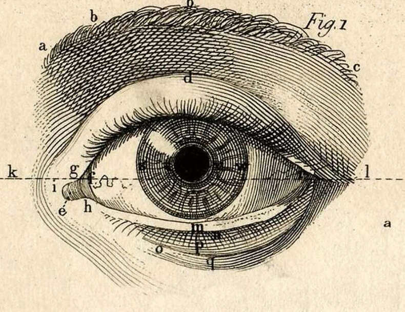 Как зарождаются ВСЕ болезни глаз