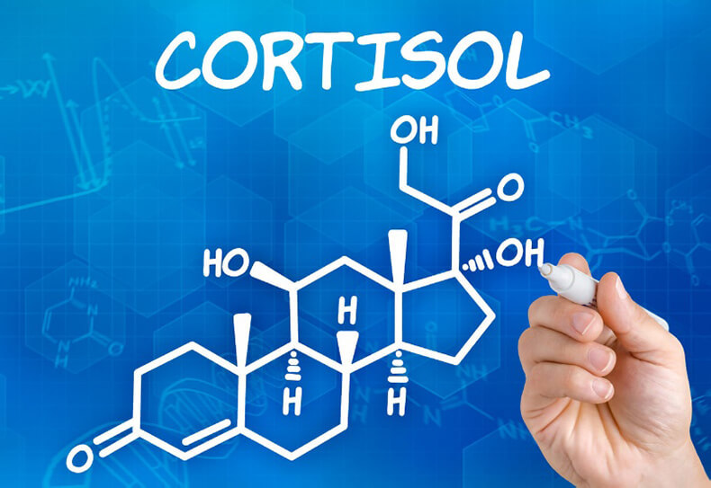Правда о кортизоле: Как поддержать главный гормон в организме