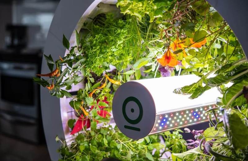 Круглый сад OGarden позволит выращивать овощи в любой квартире