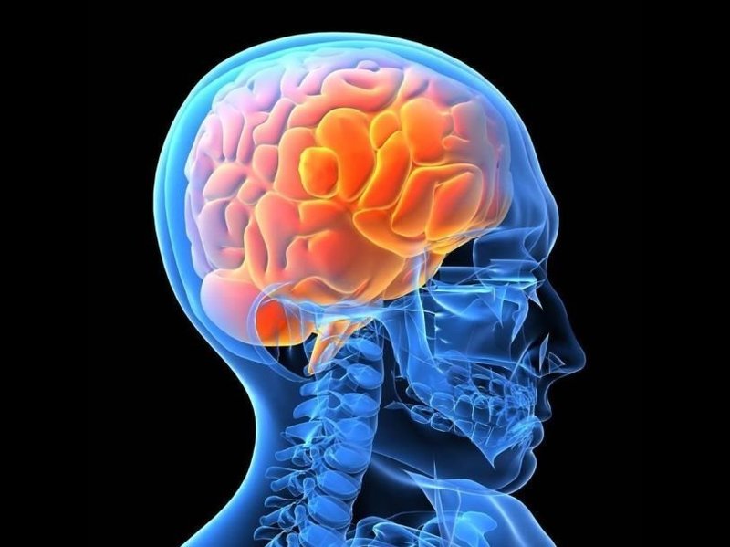 Дэниел Амен: 7 принципов изменения мозга и тела