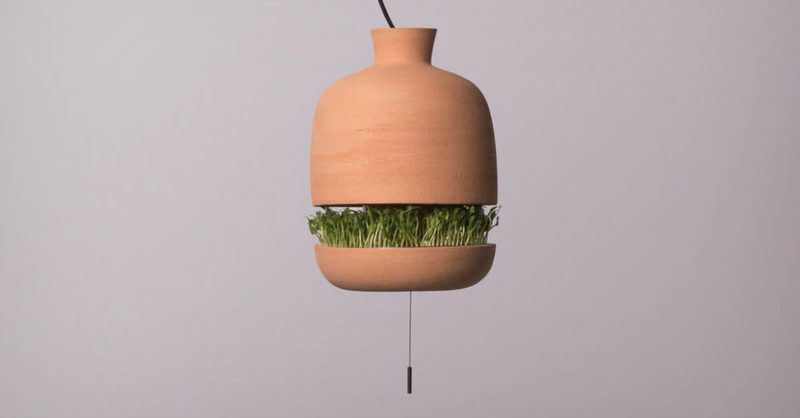 Дизайнерская лампа, обеспечивающая свет и помогающая выращивать пищу