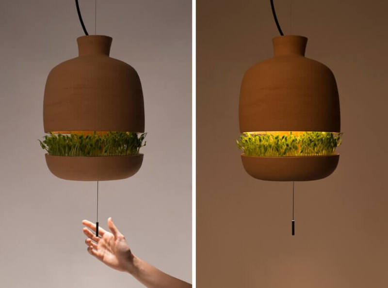 Дизайнерская лампа, обеспечивающая свет и помогающая выращивать пищу