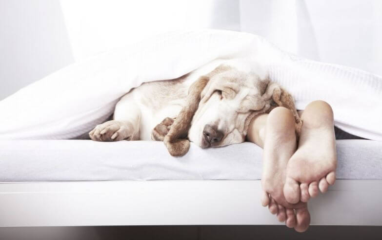 Синдром хронической усталости: как разобраться со сном, если ты устал уставать